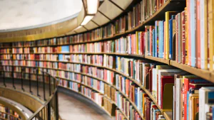 Livres publiés sur Tian Xian