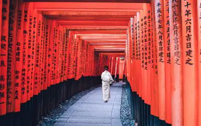 Cancer du Foie : Trois Ans Sans Récidive à 78 Ans (Japon)